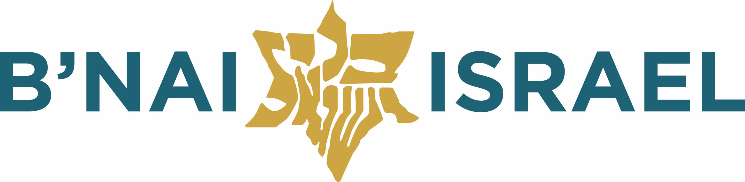 B'nai Israel logo