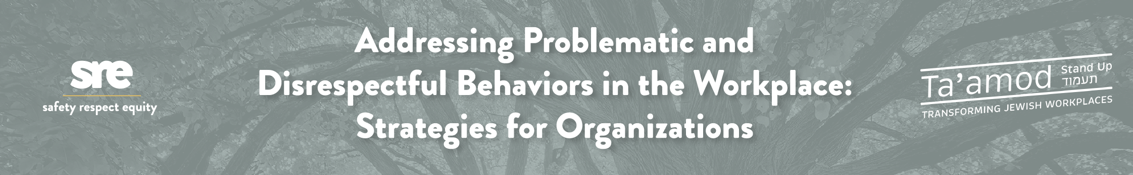 Addressing Problematic and Disrespectful Behaviors in the Workplace: Strategies for Organizations
