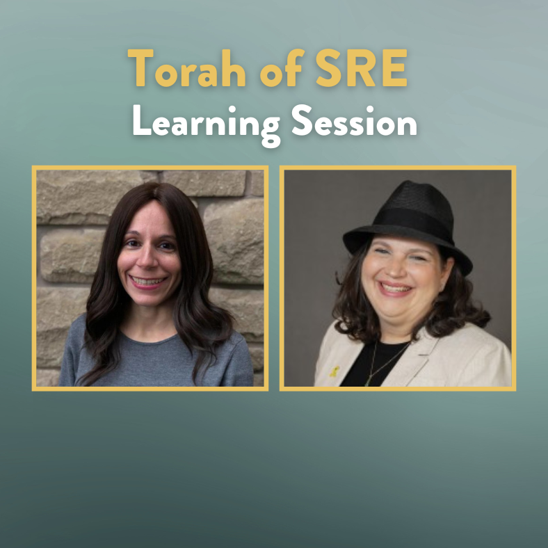 Fall Grantee Highlights for Orgs