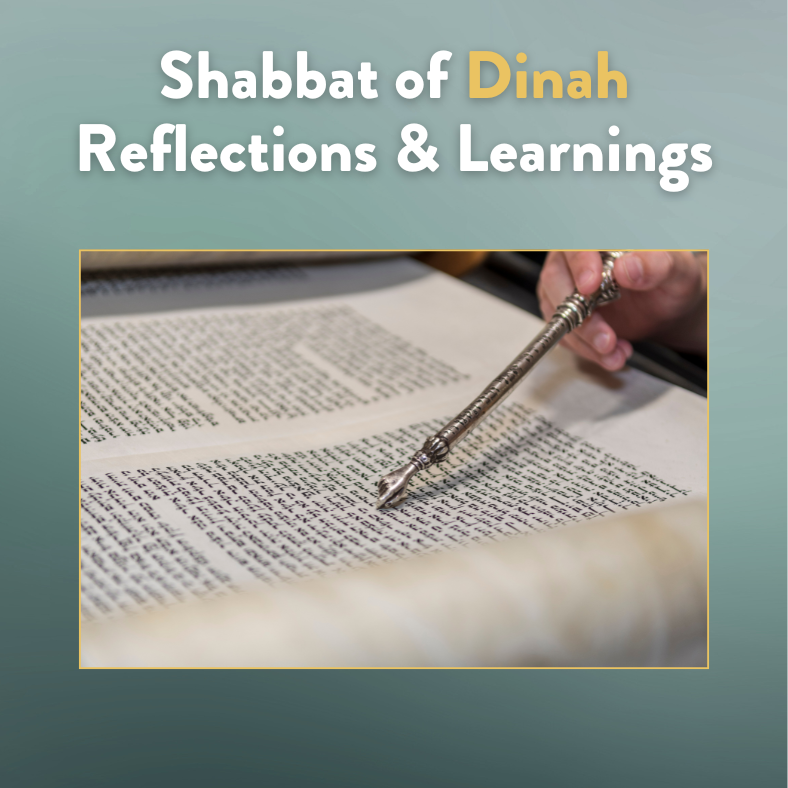 Fall Grantee Highlights for Orgs (4)